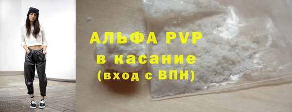 прущие грибы Красноперекопск