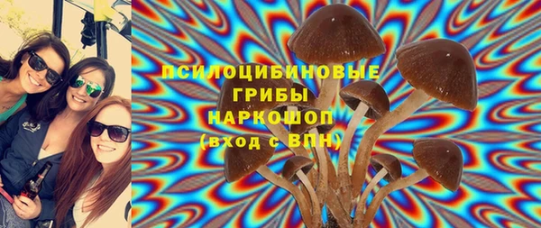 не бодяженный Краснослободск